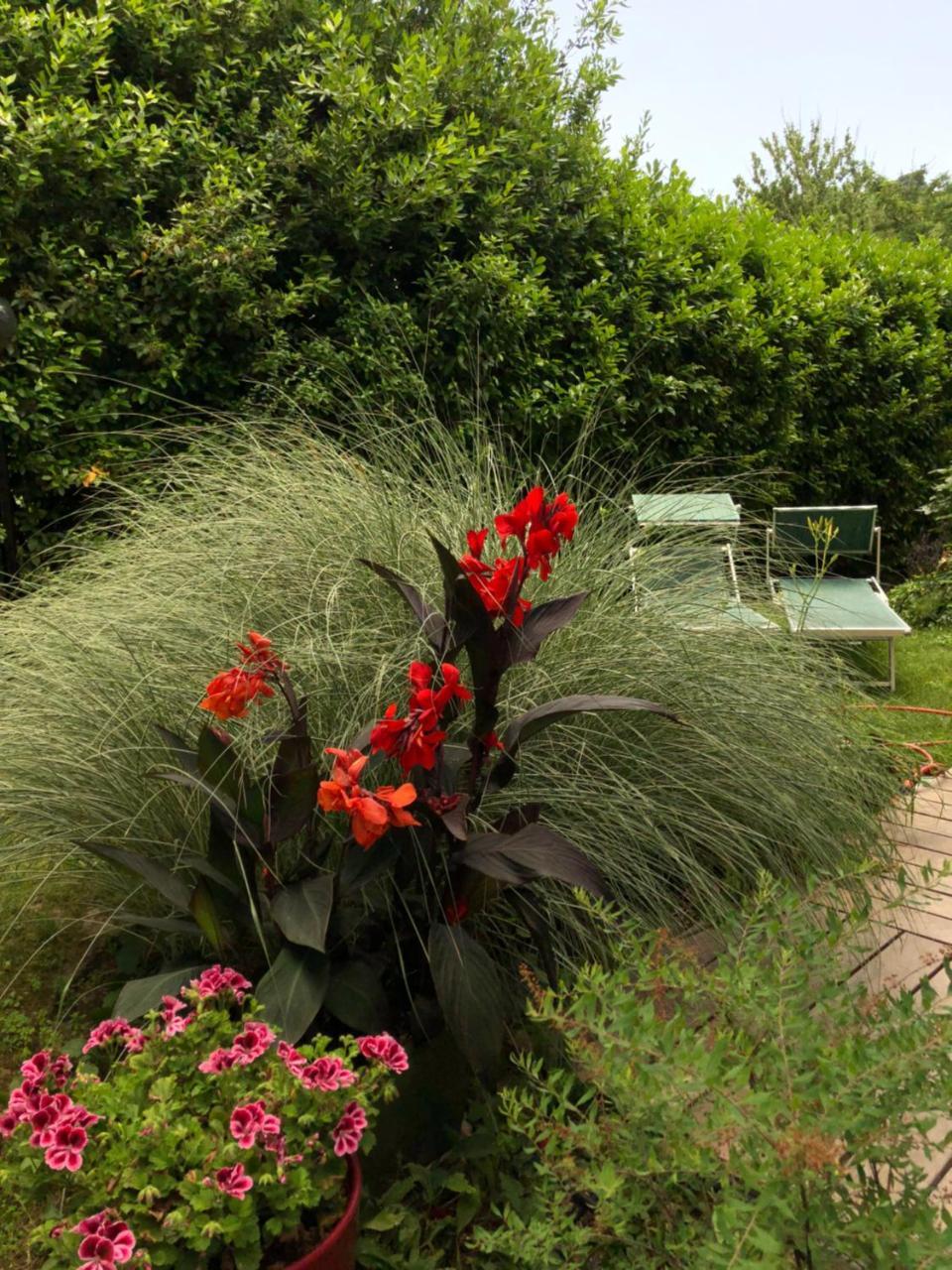 Casa Lo Bed & Breakfast Cesena Exterior photo